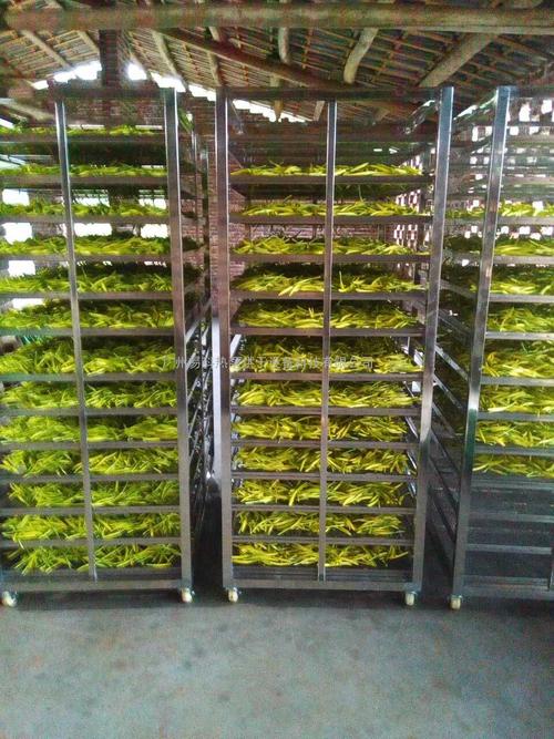 黃花菜烘干機、黃花菜烘干設(shè)備、黃花菜干燥機、黃花菜干燥設(shè)備、